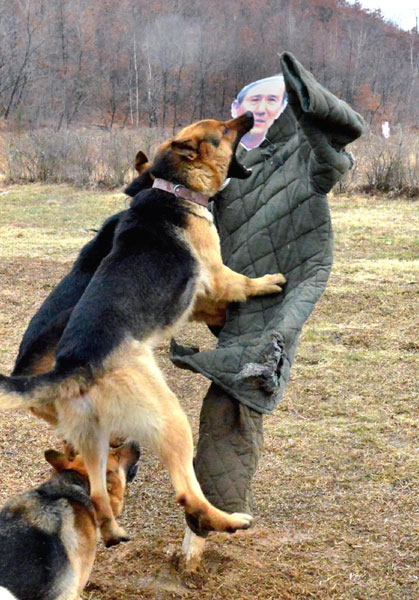 DPRK soldiers take part in drills DPRK soldiers take part in drills