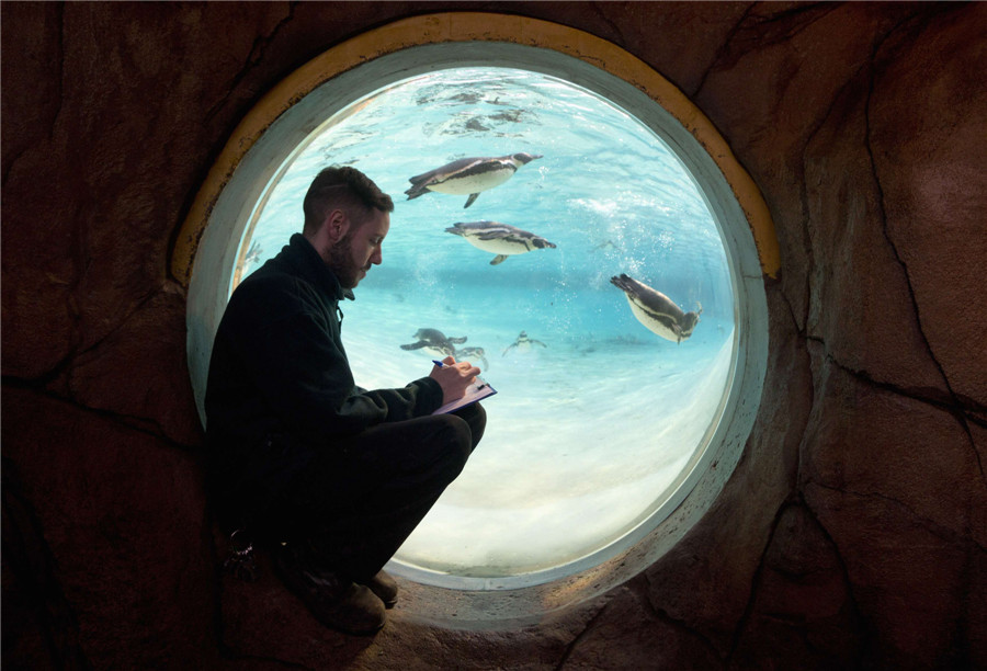 Animal stocktake at UK zoos