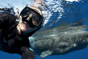 No bridge, no problem for imaginative father