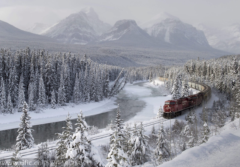 The world in photos: Dec 1-7