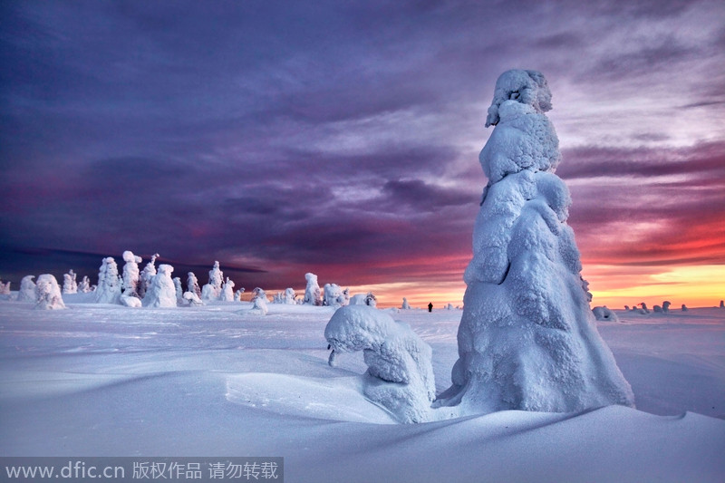 Could they be creatures from the Narnia?