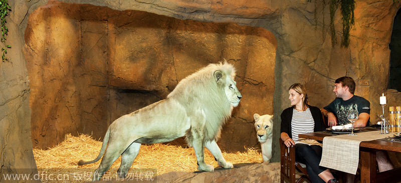 New zoo hotel lets you share a room with a beast