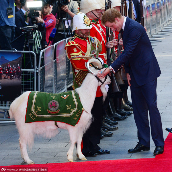 When celebs meet goats, sheep and rams