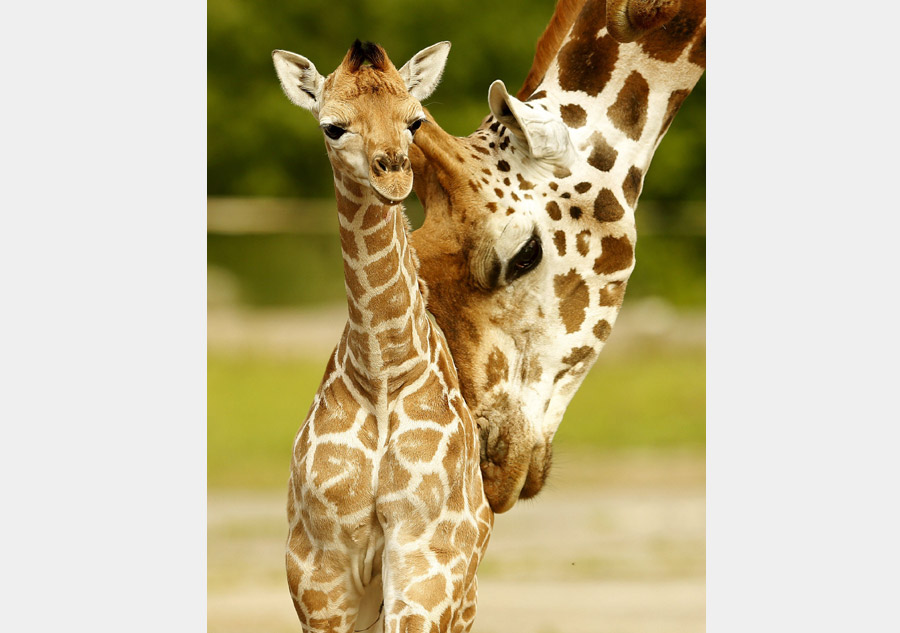 Reuters' most popular Instagram photos of 2015