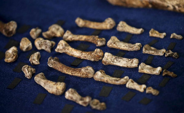 Fossil first: ancient human relative may have buried its dead