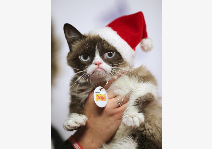 Annual Hollywood Christmas Parade held in Los Angeles