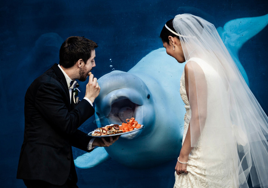 Funny wedding photos leave people with laughter