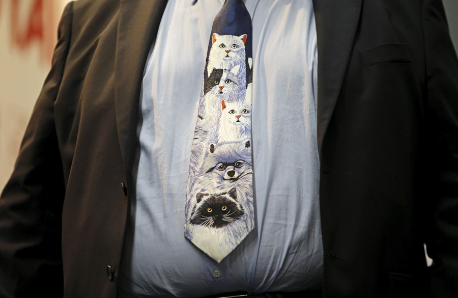 Mediterranean Winner 2016 cat show in Rome