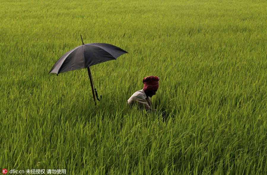 The world in photos: April 4 - April 10