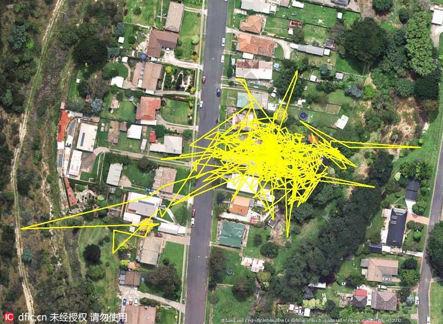 GPS trackers reveal cats' adventures during night