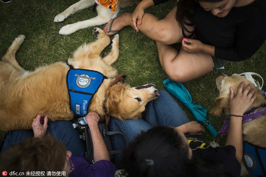 Therapy dog helps comfort mourners in Orlando