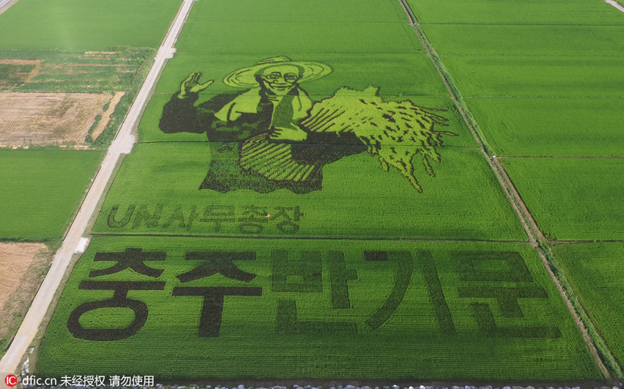 The world in photos: July 26-Aug 1