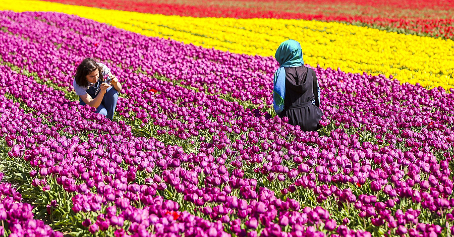 Hot spots to see flowers flourish in spring