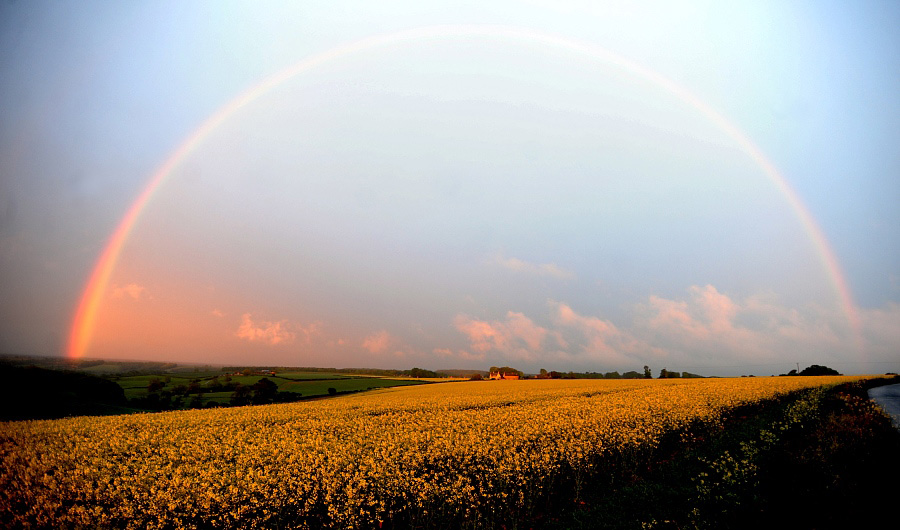 Hot spots to see flowers flourish in spring