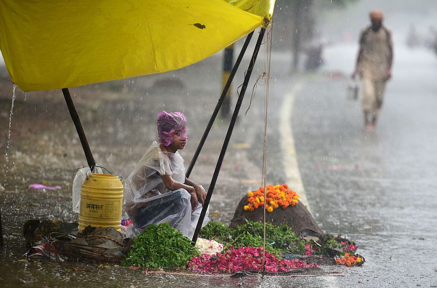 The world in photos: July 10-16