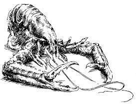 Facts versus rumors and myths