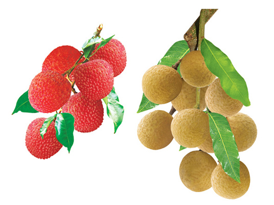 養生警惕：想要baby 18種食物絕對不能碰(組圖)