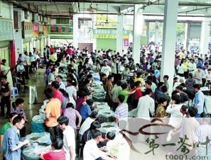 高品質鐵觀音秋茶陸續面市