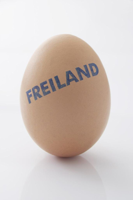 每天60秒 延長生命六個習(xí)慣很簡單