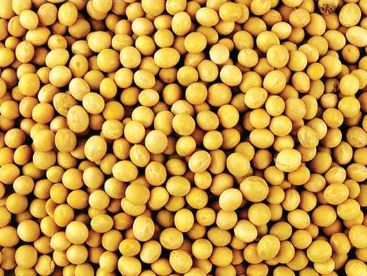 你的皮膚最喜愛吃什么(組圖)