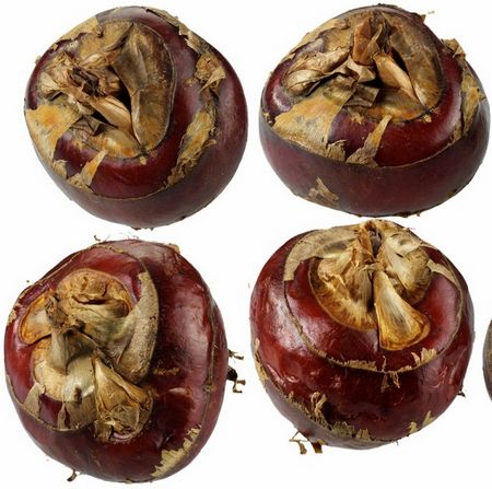 秋果也傷身 這7種水果別多吃（圖）