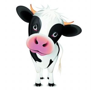 生命陽(yáng)光陷