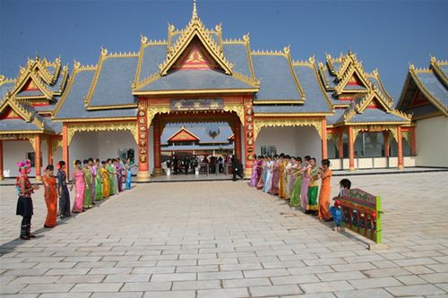 版納云茶源 南諾古茶樹