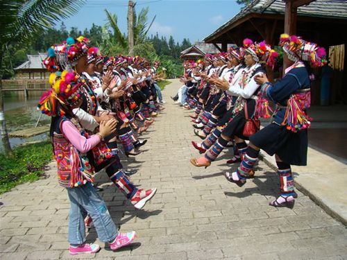 版納云茶源 南諾古茶樹