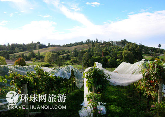 游客心目中的各國(guó)美食小吃(組圖)