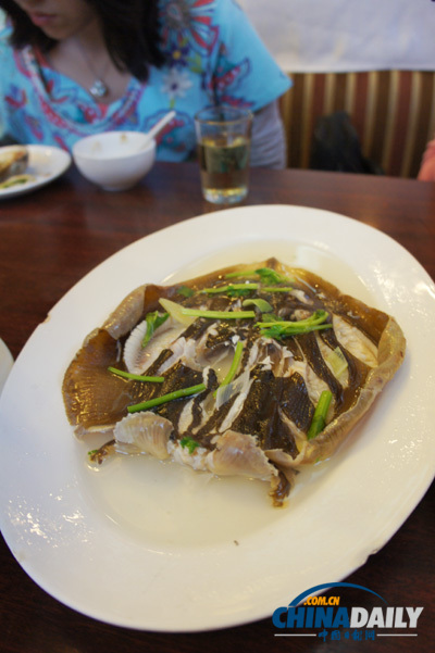 浪漫青島（多圖）