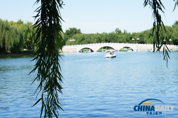 感受陶然亭公園的幽靜和淡雅