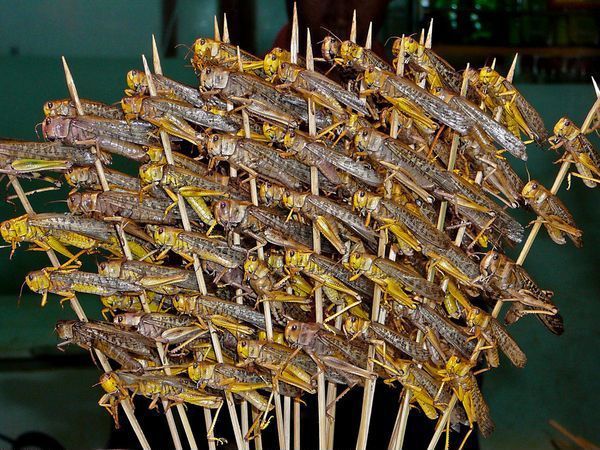 外國(guó)人眼中各國(guó)特色小吃