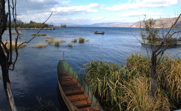 生態大理冬日印象