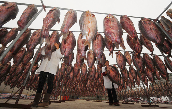 年貨“列隊(duì)”迎新年