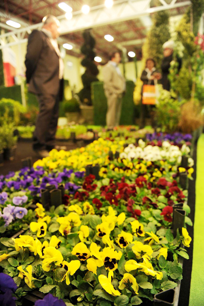 歐亞植物交易會(huì)