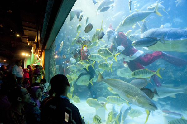 圣誕老人與魚共舞