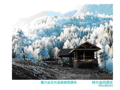 “神木壘冬韻．品味中國西部林海雪原體驗(yàn)游”活動(dòng)展開