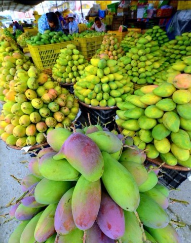 百色芒果挺進(jìn)北京 中國(guó)芒果之鄉(xiāng)享譽(yù)京城