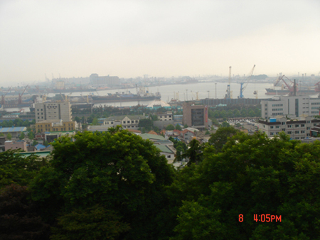 楊廣文登陸韓國仁川