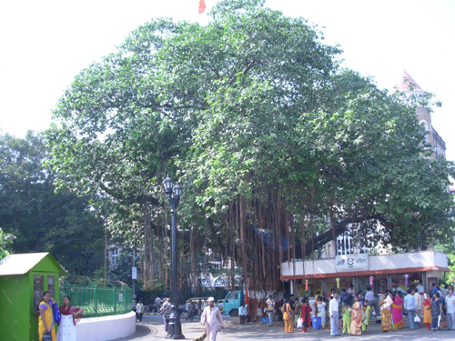 泰姬瑪哈酒店，我的追憶