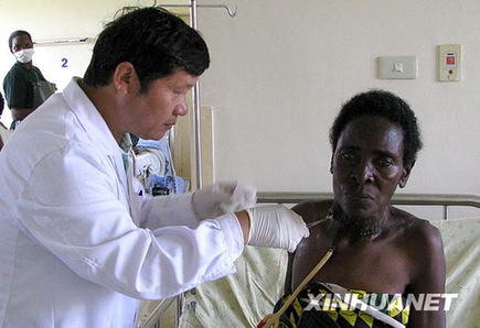 外媒關注胡錦濤主席訪非:四國并無豐足資源