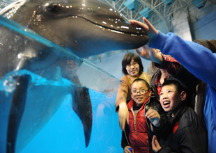 喚醒沉睡的星星公益康復行動在青島