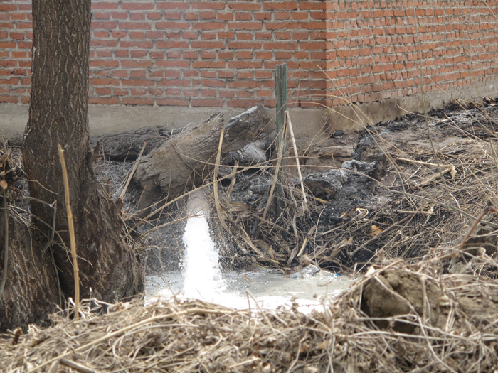 調(diào)查：沈陽小造紙廠違規(guī)排污、貽害居民