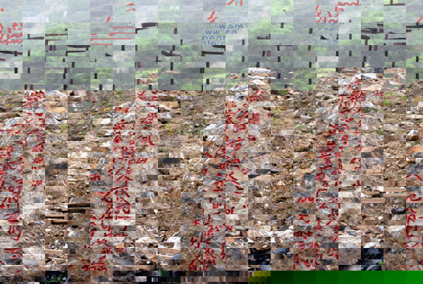 青川縣東河口地震遺址