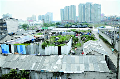 城市低收入群體生活調查：因病致貧問題突出