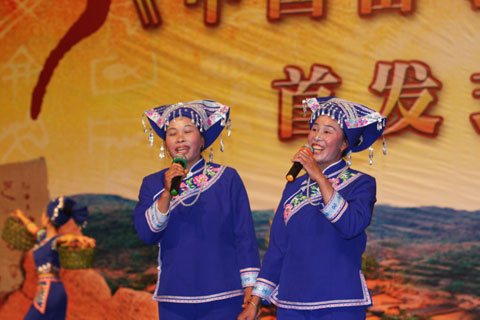 畫在土布上的壯族情歌《坡芽歌書》