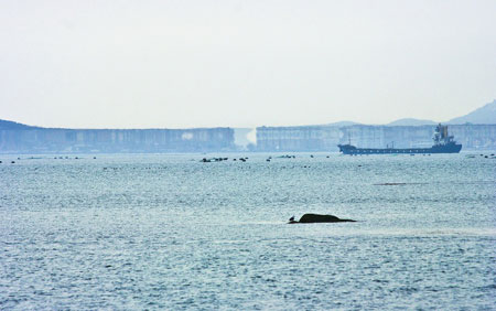 人間仙境蓬萊現海市蜃樓等三大海上奇觀