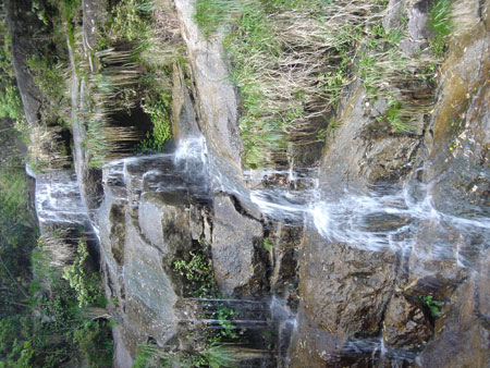 江西旅游發展論壇：旅游業是應對金融危機的“殺手锏”