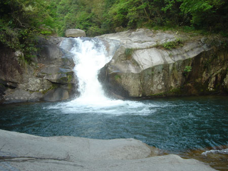 江西旅游發展論壇：旅游業是應對金融危機的“殺手锏”