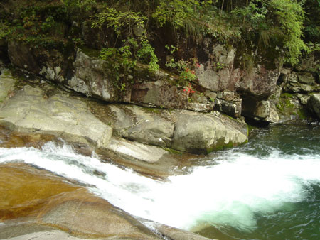 江西旅游發展論壇：旅游業是應對金融危機的“殺手锏”